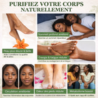 🌿 Patch Detox Pieds aux herbes naturelles (1 carton = 10 patchs) (Homme et Femme)