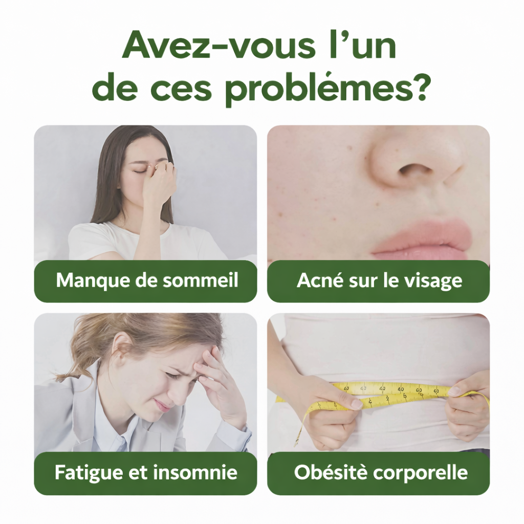 🌿 Patch Detox Pieds aux herbes naturelles (KINOKI) (1 carton acheté =1 carton offert)