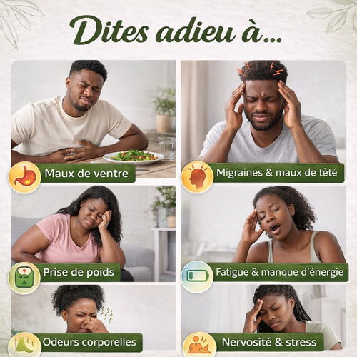 Thé Vert Naturel, Forme & Bien-être (VVATATEA) ( 1 carton = 50 sachets de thé vert)